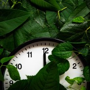 점점 빨라지는 환경위기시계, 우리나라 환경시각은 몇 시?