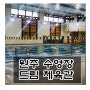 원주 수영장 | 드림체육관