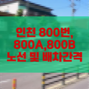 인천에서 강화도가는 버스인 인천800번 버스 주요경유지와 노선소개 및 800A, 800B 노선 차이점과 배차간격 알아보기