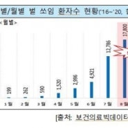 추석 앞두고 말벌 활동 왕성…"벌 쏘임 주의해야"