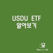 USDU ETF : 미국 달러 지수 투자 ETF (feat. 달러 롱, 이머징 마켓 숏)