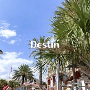 DESTIN | 데스틴 - day01