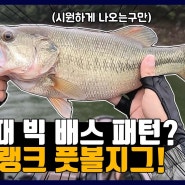 【2021.08.21】 충북 옥천 대청호 카약 배스 낚시 "비가 올 때 빅배스 패턴? 딥크랭크 풋볼지그"