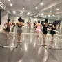 신사동 가로수길 성인발레 Balletically Studio. <성인발레 화목 저녁반 Level 1 Class.>