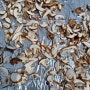 표고버섯재배-말린 표고버섯:가을철 표고버섯 말리기