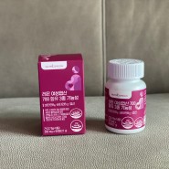임산부영양제 / 엽산효능 / 엽산추천 / 뉴트리커먼 레몬엽산700