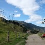 콜롬비아 여행 살렌토, 코코라 밸리 / 코코라 계곡 트래킹 Valle de Cocora