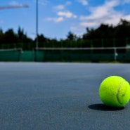 테니스 공은 노란색인가 녹색인가? feat. TIME, CNN & Roger Federer
