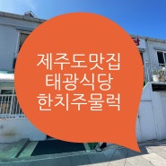 [제주도맛집추천] 태광식당 한치주물럭 돼지주물럭 제주향토음식 제주공항맛집 제주여기는꼭먹어야돼 제주시맛집 안심식당 제주여기는꼭가야돼