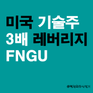 FNGU - 미국 대표 기술주 FANG 3배 레버리지 ETN