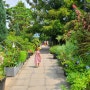 과천 식물카페, 온실과 정원이 있는 마이알레 카페&레스토랑