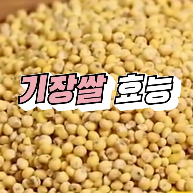 오곡밥 곡물 기장 효능, 기장쌀 효능 : 네이버 블로그