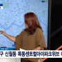부동산전문가 신화선 SBS Biz [부동산 해결사들] 방송다시보기(21.9.16)