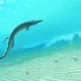 악어가 바다를 만났을 때: 공룡시대 '해양 악어'