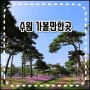 경기도 수원 가볼만한곳 지금 예쁘다는 노송지대 맥문동 외 4곳