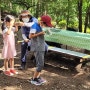 [경기도 양평] 쉬자파크 - 숲체험 : 아이들과 가볼만한 곳