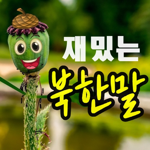 괄약근 북한말로 무엇일까요? 재밌는 북한말 8개 : 네이버 블로그