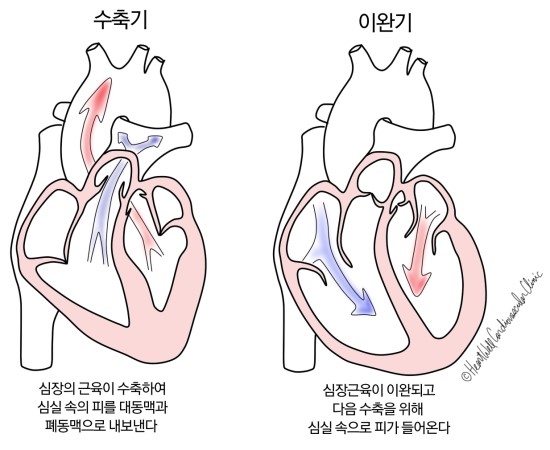 수축기 혈압과 이완기 혈압에 대해서 알아봐요 : 네이버 블로그
