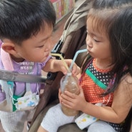 강릉 중앙시장, 내가 고른 맛집! '또 찾게 되는 곳'으로 골라봄