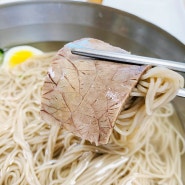 담백한 맛이 일품인 일산 평양냉면 맛집 대동관(+평안도만두)