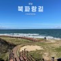 포항 가볼만한곳 영일만 북파랑길 해안산책/서핑