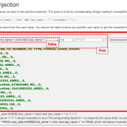 [WebGoat(웹고트)] (A1)Injection - SQL Injection intro(09~13)