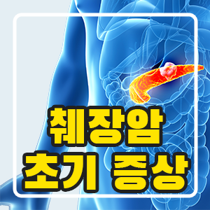 췌장의 위치, 기능, 췌장암 초기 증상 (휴먼영상의학센터 췌장검사) : 네이버 블로그
