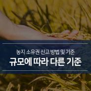 농지의 규모에 따라 달라지는 소유권 신고 방법! 기준은 어떻게 될까?