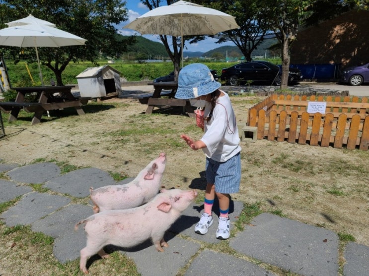 진주 가볼만한곳 :) 실내동물원 <애니멀프렌즈> 많은 동물 체험...