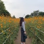 서울 올림픽공원 들꽃마루 가을 나들이 장소 추천