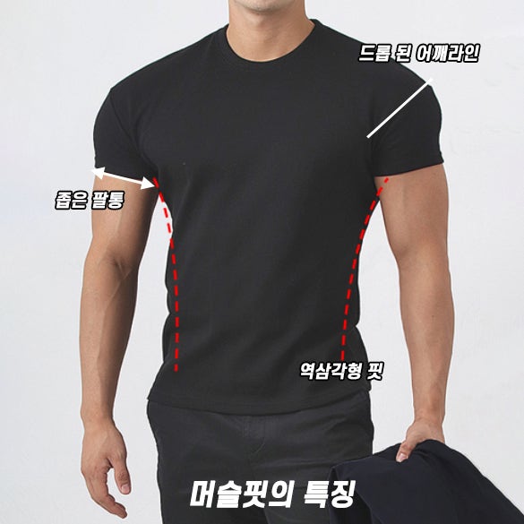 머슬핏 입으면 진짜 몸 좋아보일까? 짐웨어 브랜드 비교분석 (머슬암드 / 브렁크 / 덤브스트럭 / 매버릭 / 피지컬가먼츠 / 허그본 / 맥커스) : 네이버 블로그