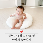 [아빠의 육아일기]생후 17개월_D+520일_역류방지쿠션 놀이