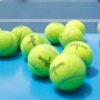 블로그씨는 요즘 테니스를 배우고 싶어 알아보는 중이에요! 배우고 싶은 새로운 운동이 있나요?