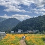 강원도 여행, 평창 가볼만 한 곳 가을 여행 1박 2일 코스 추천 | (1) 평창백일홍축제