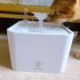 고양이 자동급수기 물그릇으로 사용해 봤더니!