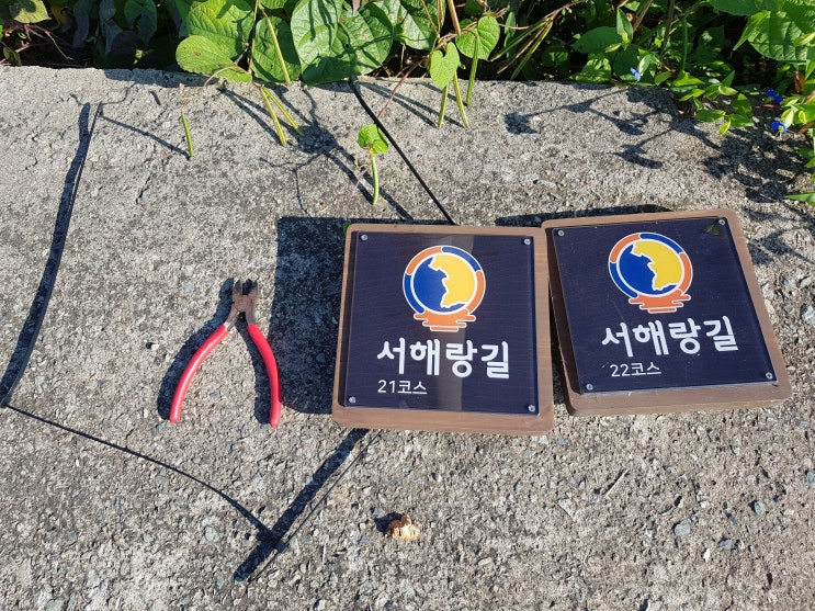 서해랑길 관리지역 최종트렉