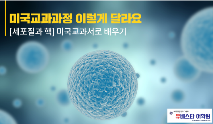 보라매초 영어 생명과학 [세포질과 세포핵] 미국 초등학생들이 배우는 방법 공유! : 네이버 블로그