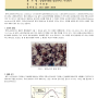 오오히라타케(전복느타리버섯) 병재배 기술