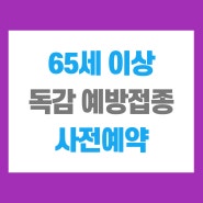 65세 이상 어르신 독감 예방접종 사전예약 기간 및 방법