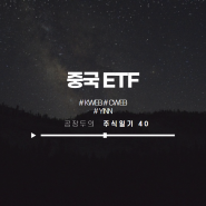 중국 ETF (KWEB CWEB YINN) - 중국에 투자하는 대표 펀드!