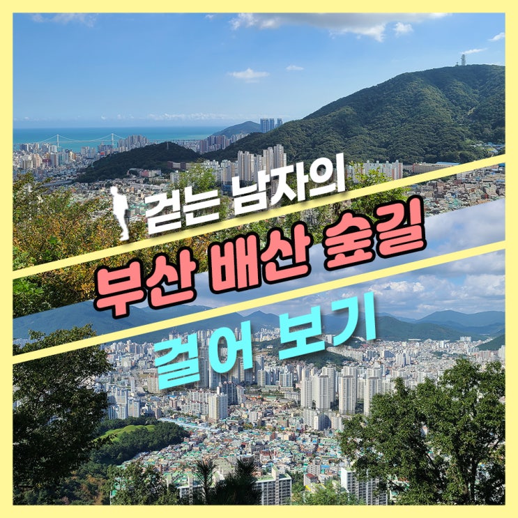 부산 초보 등산코스 배산 둘러보기. : 네이버 블로그