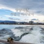 [양양여행] 양양낚시 바다낚시체험 경민호 / 강릉 배낚시