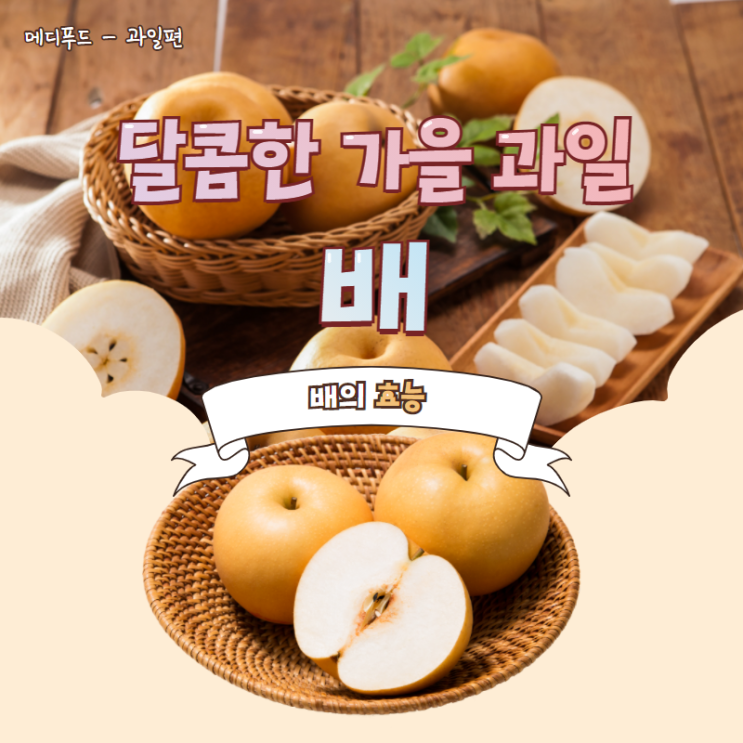 [메디푸드] 달콤한 가을 과일 배! 배의 효능 : 네이버 블로그