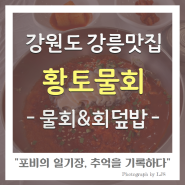 강원도 강릉 맛집 추천 : 황토물회 - 회덮밥 맛있어요!