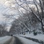 [옻칠하는사람들] 눈오는 날의 드라이브