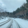 어제 제주도 날씨, 이번주에는 눈이 와요