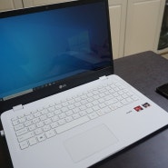 LG 울트라PC 노트북 라이젠 르누아르 15UD40N-GX56K
