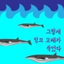 [카드 뉴스] 그렇게 밍크 고래가 죽었다