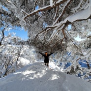 아름다운 내장산 상고대,눈꽃 산행