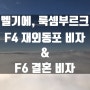 F4 재외 동포 비자 | 벨기에, 룩셈부르크 F6 결혼 비자 관련 정보 링크